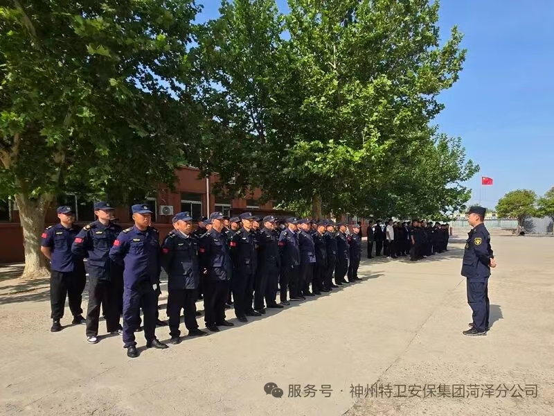 神州特卫